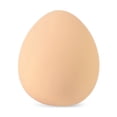 thumbnail image 7 of Diceymbol Realistic Egg Slow Rebound Stress Relief Squeeze, Soft Resilient Calming Comfort, Minimalist Design for Office & Home Daily Relaxation and Desk Decor, 2.28IN, 7 of 7