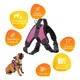 thumbnail image 2 of Arnes Para Perro Nylon Pechera Perro Grande Comoda / Ligera, 2 of 8