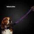 thumbnail image 3 of Plutus Pet Short Dog Leash, Reflective Nylon Padded Handle, Strong Traffic Pet Leash with Carabiner Clip, for Medium Large Dogs (18", Purple), 3 of 6