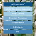 thumbnail image 5 of Glade 2 in 1 Candle, Moonlit Walk & Wandering Stream, Infused with Essential Oils, 2 Count, 5 of 18