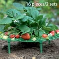 thumbnail image 6 of 10PCS Green Strawberry Growing Tray Racks 250mm Gardening Potted Fruits Home Greenery Splicing Stand Farm Tool and Equipment, 6 of 7