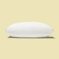 thumbnail image 2 of Casper Sleep Essential Cooling Pillow, Standard, 2 of 10