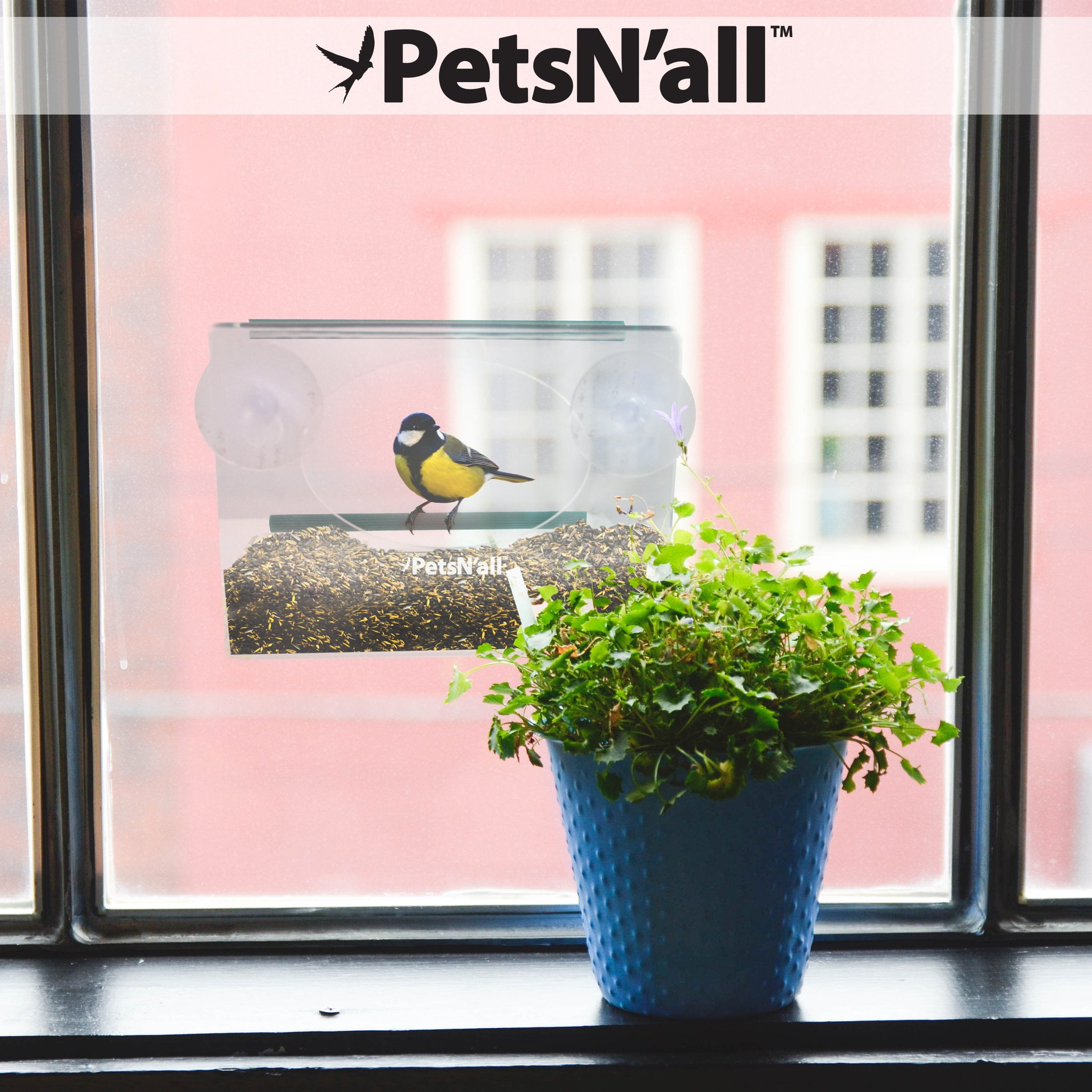 Petsn All Acrylic Clear Window Bird Feeder Squirrel Proof Seed