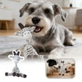 thumbnail image 1 of Fall Squeaky Soft Chew Toy for Dogs Interactive Teething Puppy Pet Training, 1 of 4