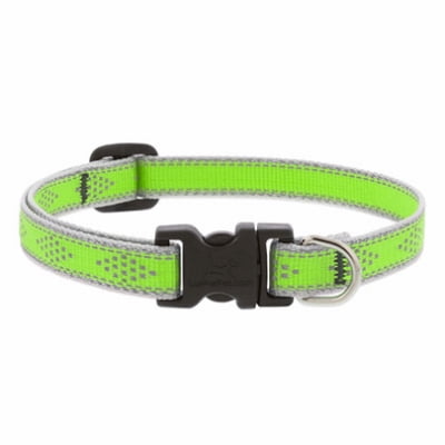 1/2x8-12"GD Dog Collar -48134