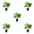thumbnail image 2 of Cateissary Plantas falsas en macetas de tortuga ABS, hojas artificiales de bajo mantenimiento para el hogar y la Oficina, flores falsas JH5477 Type2 NO2, 2 of 6
