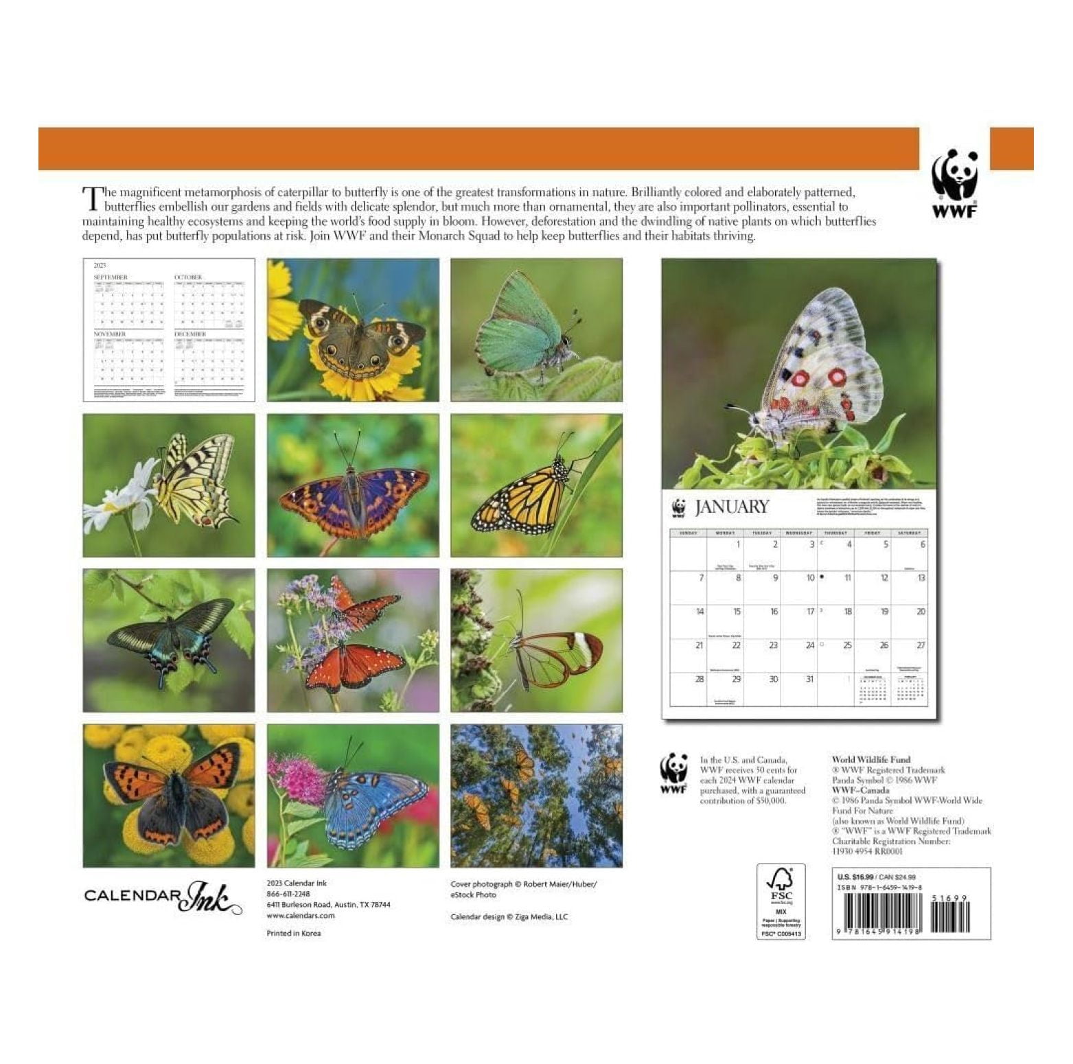 2024 WORLD WILDLIFE FUND Butterflies Deluxe Wall Calendar - Walmart.com