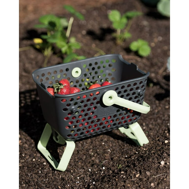 Gardener's Supply Multipurpose Mini Mod Hod - Harvest, Rinse