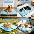 thumbnail image 3 of Alfombrilla Refrescante para Perros dgdgbaby Antideslizante Lavable y Portátil, 3 of 6