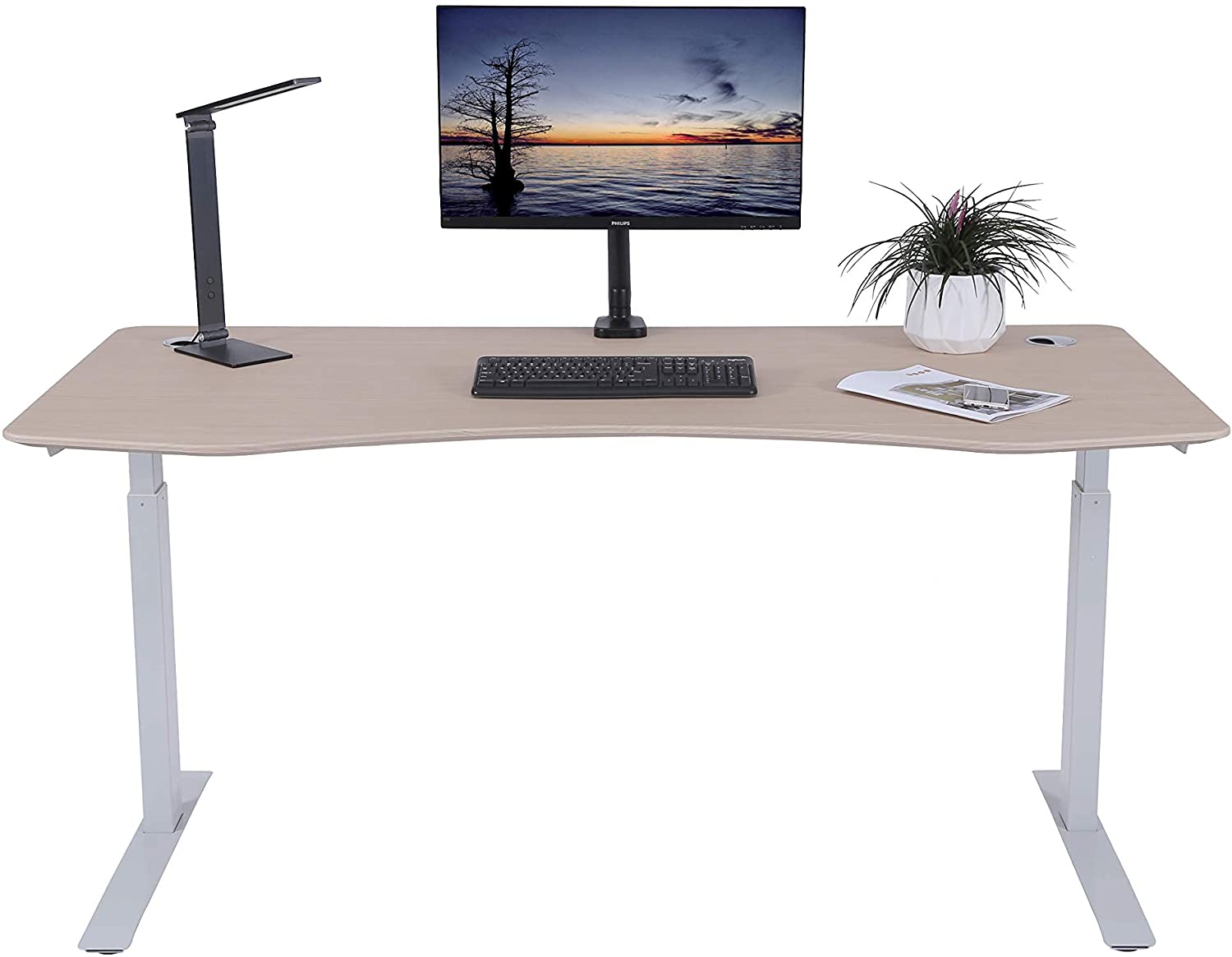 ApexDesk Elite Series 60" W Electric Height Adjustable Standing Desk (Light Oak Top, White Frame)