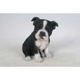 thumbnail image 6 of Hi-Line Gift Ltd Sitting Boston Terrier Puppy Statue, 6 of 6