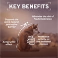 thumbnail image 5 of Dermo Dry Dog Food for Itchy Skin & Coat Health, Fish Flavor, 22 lb, 5 of 14