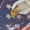 American Flag Eagle, variant on Aztec Print Mens Zero Drop Casual Shoes Breathable Fashion Barefoot Walking Shoe Footwear Lace Up Zero Drop