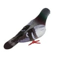 thumbnail image 4 of 40pcs Adorno de simulación de palomas artificiales Espuma con plumas Decoración de pájaros falsos Sunnimix Pájaros artesanales emplumados, 4 of 8