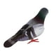 thumbnail image 5 of Adorno Decorativo de Aves 3x de Espuma Artificial Multicolores Sunnimix Pájaros Artesanales Emplumados, 5 of 8