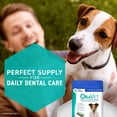 thumbnail image 5 of OraVet Dental Care Hygiene Fresh Chews for Medium Dogs, 25-50 lbs, 30 Count, 5 of 10