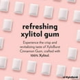 thumbnail image 3 of Focus Nutrition, XyloBurst 100% Xylitol Gum, Cinnamon Gum, 500 Count Bag, Natural Chewing Gum, Non GMO, Vegan, Aspartame Free, Sugar Free, 3 of 6