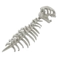 thumbnail image 1 of Disfraz de esqueleto de dinosaurio 3D para Halloween, atuendo para eventos navideños al aire libre, realista. Gris, 1 of 9