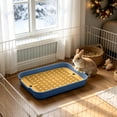 thumbnail image 6 of Small Animal Litter Box with Grid, Pet Potty Training Tray for Rabbits Hamsters Guinea Pigs Hedgehogs Chinchillas Ferrets, Easy-Clean Cage Toilet with Splash Guard Fence, Blue, for Cage Training, 6 of 6