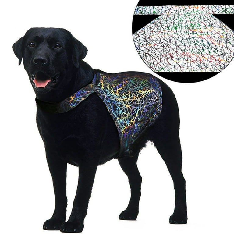 Dog hunting vest walmart shop
