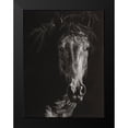thumbnail image 2 of Chapman, Julie T. 19x24 Black Modern Framed Museum Art Print Titled - Wild Scratchboard VI, 2 of 5