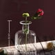 thumbnail image 5 of Florero Arreglo Floral Plantas Hidropónicas Decoración Oficina, 5 of 5