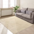thumbnail image 2 of Shaggy Area Rug, Indoor Washable Fluffy Plush Throw Rug, Luxury Faux Fur Floor Carpet, 2 of 9