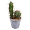 thumbnail image 1 of Simulation Tropical Plants Creative Artificial Cactus Fake Potted Bonsai Decor for Home Office (Pot Included) (Saguaro Cactus), 1 of 2