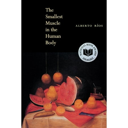 The Smallest Muscle in the Human Body (Paperback)