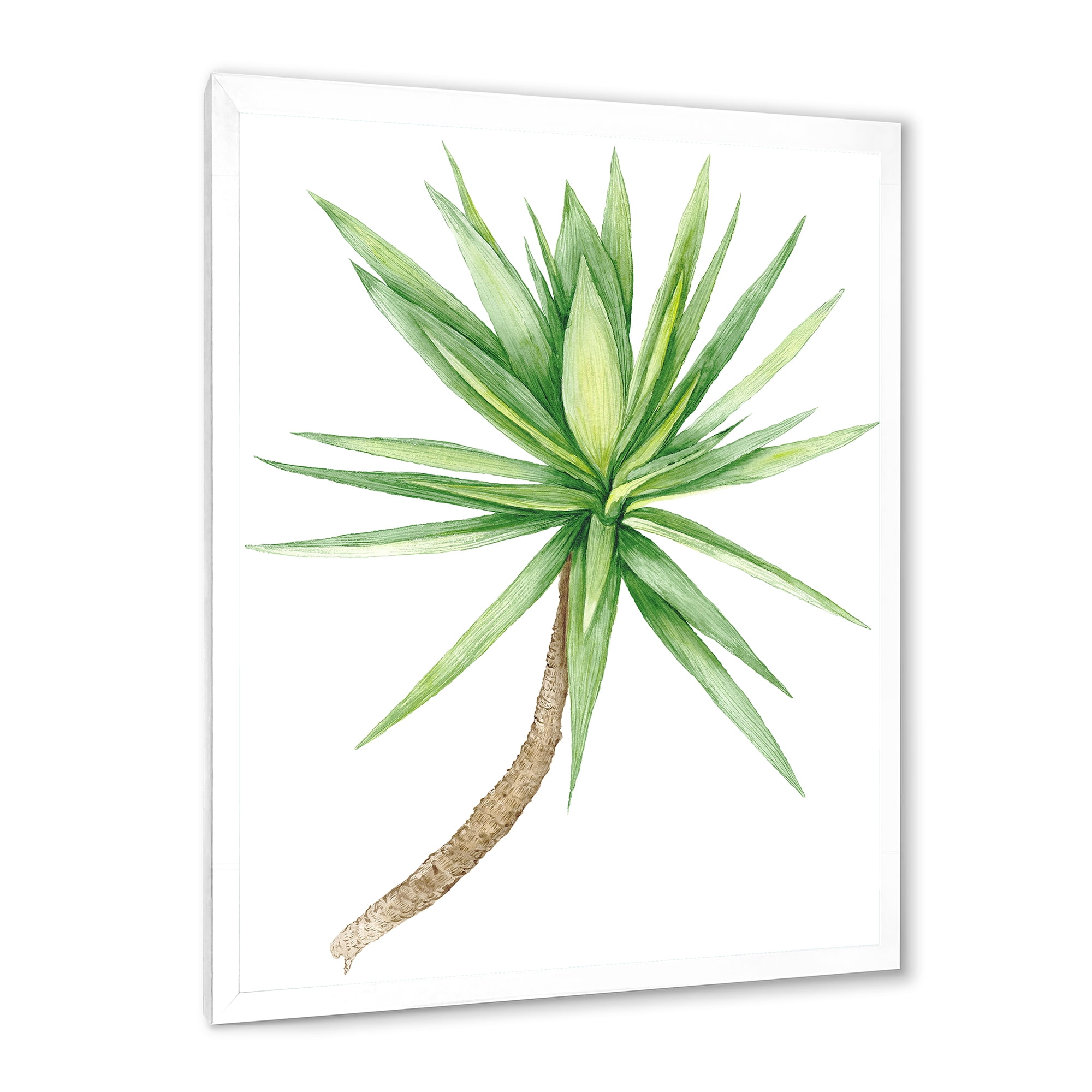 Designart 'Close Up Of Yucca Tree' Traditional Framed Art Print