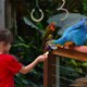 thumbnail image 2 of 1 Juego de jaula para loros, juguetes colgantes, columpio para pájaros, juguetes para morder loros, 2 of 6