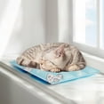 thumbnail image 2 of Cooling Gel Pet Pad: Keep Your Dogs & Cats Comfortable in Summer Heat!, 2 of 9