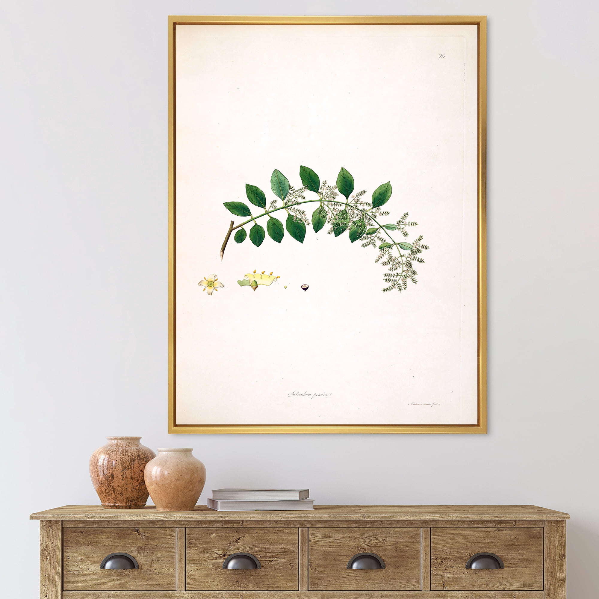 Designart 'Ancient Plant Life XVIII' Farmhouse Framed Canvas Wall Art Print