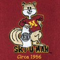 thumbnail image 2 of Winning Streak Sports 45017 Minnesota Heritage Banner, 2 of 4