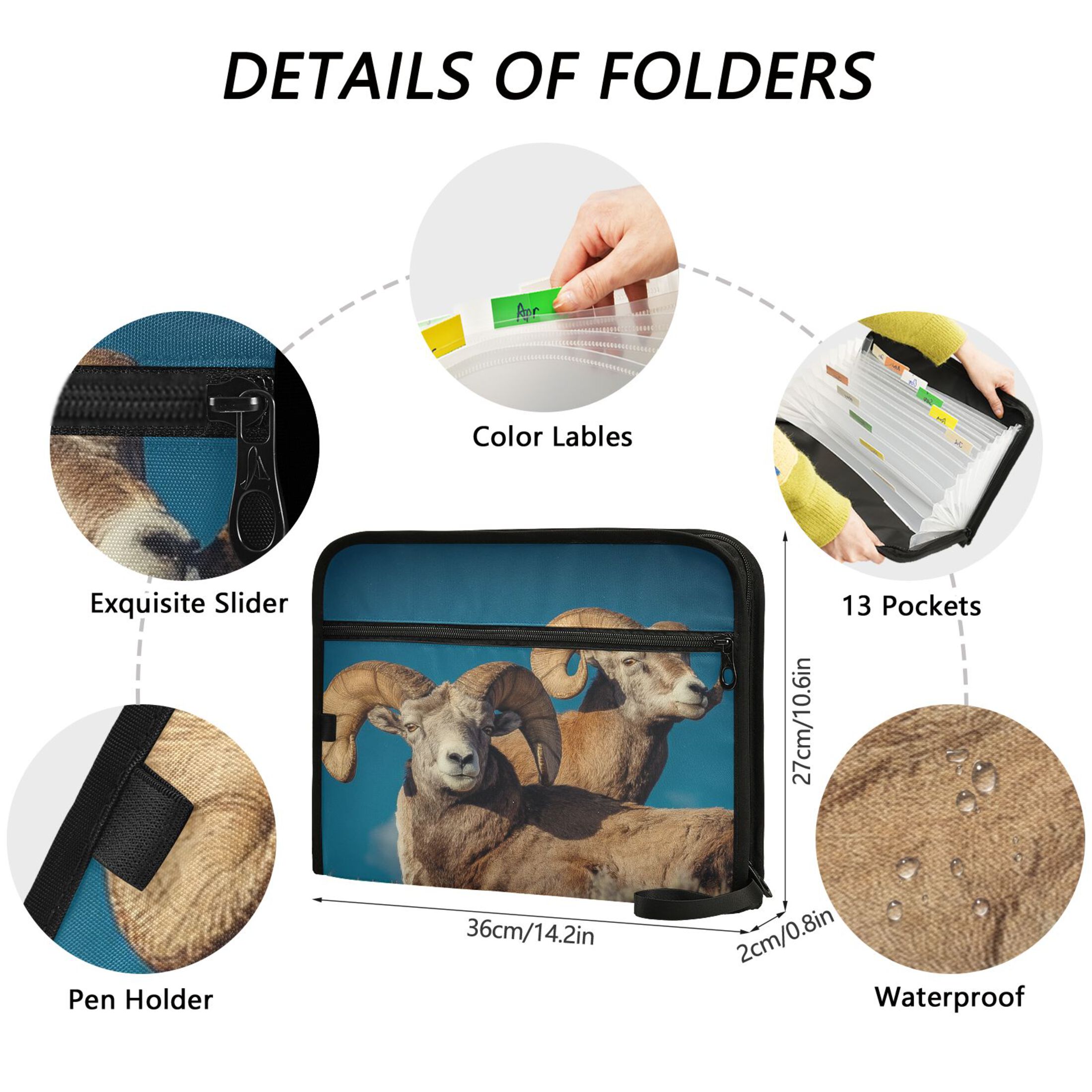Expandable Folder with Colored Tabs, Desktop Folding Folder for Organizing Files by Category, with 13 Pockets, Suitable for Office Use Bighorn Sheep