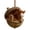 Foal, variant on YiFudd 3D Woodland Christmas Ornaments – 3D Acorn Decor with Sleeping Chipmunk for Forest Animal Decor, Chipmunk
