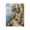 Botanical Lined Seaside Path, variant on Stupell Industries Traditional Botanical Lined Seaside Canvas Art, 16 x 20, by Franklyn Gregory