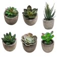 thumbnail image 1 of Kearding 6 UNIDS Mini Plantas Suculentas Artificiales Falsas Plantas Artificiales Adornos de Escritorio de Simulación Durable Realista para Sala de Estar Decoración del hogar Kearding HA035469-00, 1 of 6