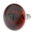 thumbnail image 2 of 6xWaterproof E27 Heat Light Bulb Breeding Lamp Infrared Heater Bulbs 100W, 2 of 5