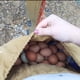 thumbnail image 1 of Bolsa de almacenamiento de frutas, bolsa de forraje de lona de cuero, tesoros para senderismo, herramienta para acampar al aire libre, bolsa para recoger, herramienta para colgar en la cintura LingWen 8390615561389, 1 of 1