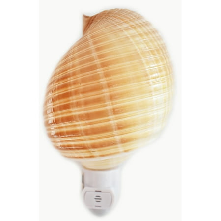 

Seashell Night Light Tonna Cepa Shell Beach Decor w. Automatic Sensor