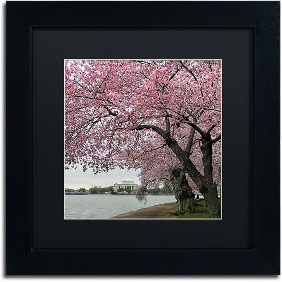 Trademark Fine Art "Tidal Basin Blossoms" Canvas Art by CATeyes, Black Matte, Black Frame