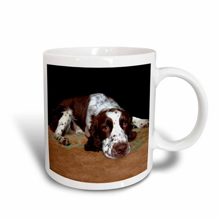 3dRose English Springer Spaniel, Ceramic Mug, 11-ounce