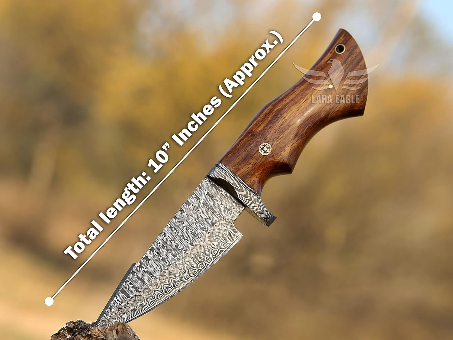 Lara Eagle Bobcat Fixed blade Skinning Knife for Camping, Handmade damascus Hunting Knifves with Leather Sheath, Size 10" sharp outdoor knife