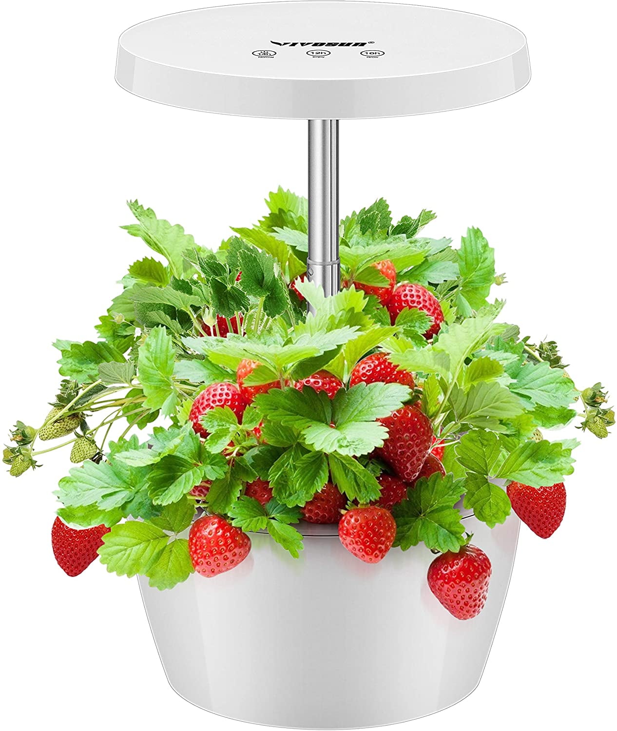 Indoor Herb Garden Kit Hydroponics Growing System Hydroponics Growing