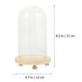 thumbnail image 2 of unbranded 1Set Preserved Flower Adornment in Glass Cover for Desktop Creative Decoration, 2 of 8