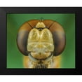 thumbnail image 2 of Riyad_Hamzi 24x20 Black Modern Framed Museum Art Print Titled - Dragonfly, 2 of 5