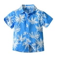 thumbnail image 2 of Delliss Boys Summer Hawaiian Loose Shirt Short Sleeve Boys Button Down Shirt Beach Blue Top, 2 of 9