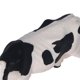 thumbnail image 2 of Solid simulation cow model, vivid plastic toy for children, farm animal model to stimulate imagination and creativity, 2 of 2