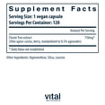 thumbnail image 2 of Vital Nutrients Vitex 750 | 750mg Chaste Tree Berry Extract | Support for Hormone, Fertility, and Menstrual Cycle Balance | Gluten, Dairy, Soy Free | Non-GMO | 120 Capsules, 2 of 5